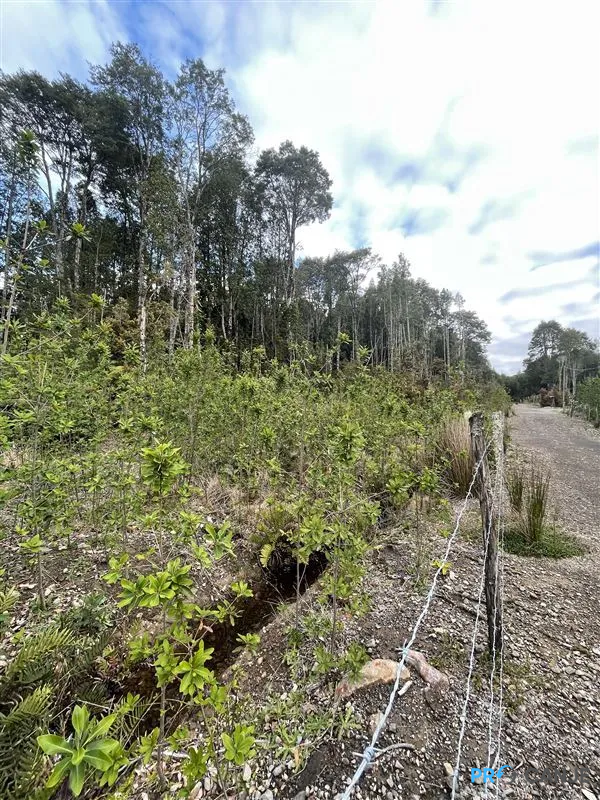 Venta Parcela Cercada Sector Las Marcas