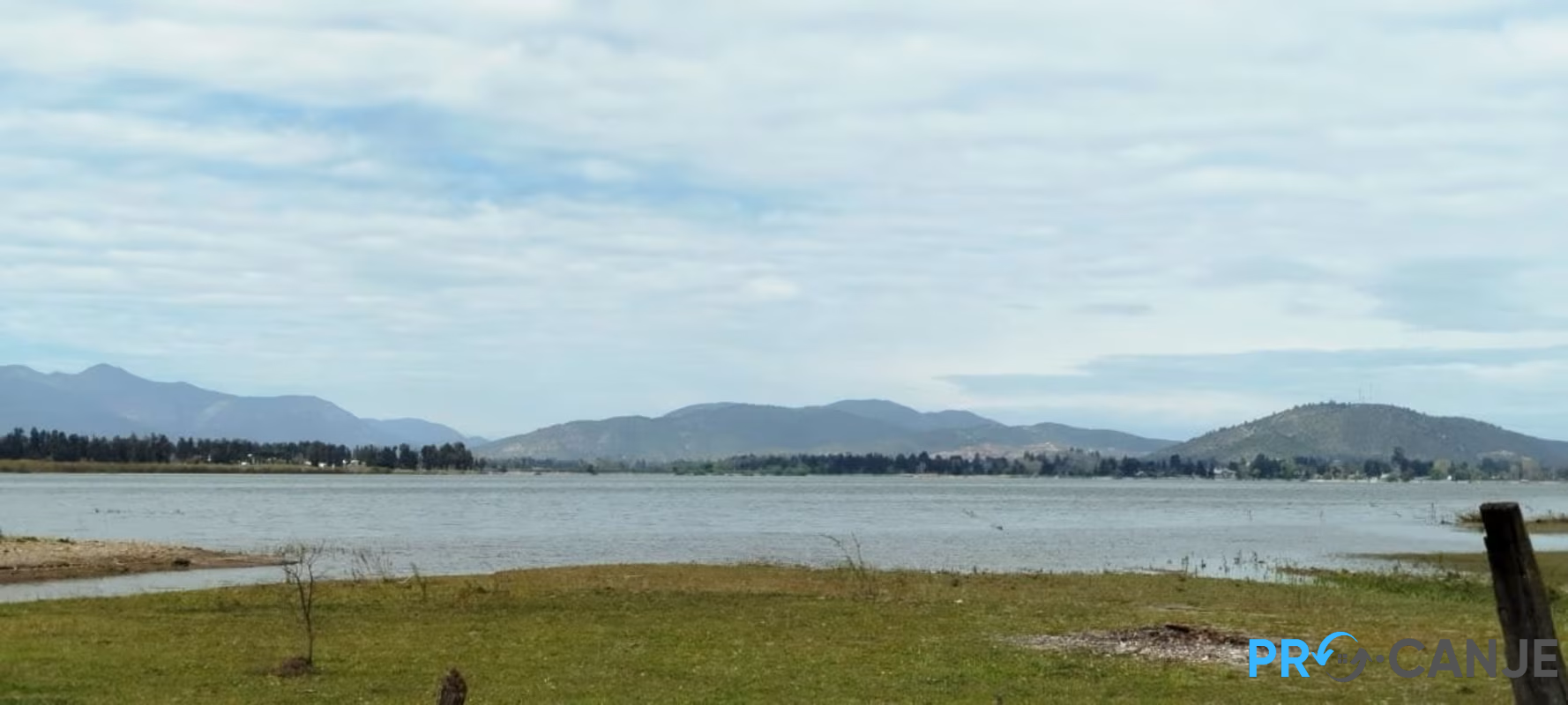 Las Cabras | Parcelas Bosque del Rapel, Santa Clarisa, Lago Rapel