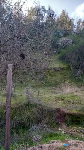 Las Cabras | Parcela en Santa Julia Lago Rapel