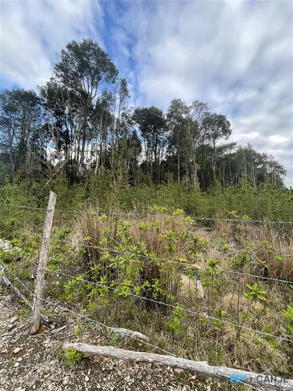 Venta Parcela Cercada Sector Las Marcas